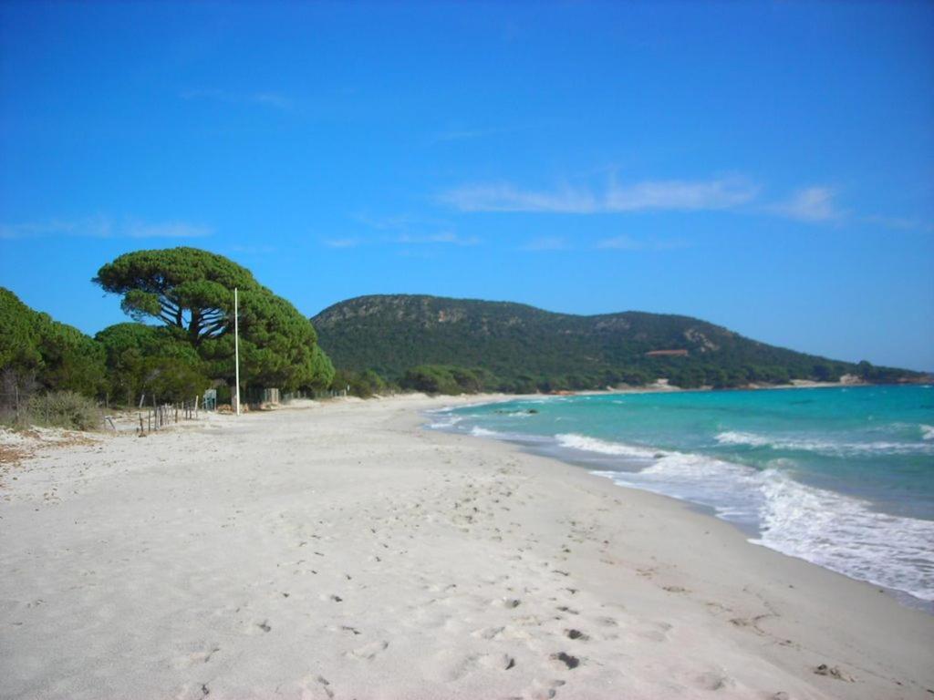 Villa Largia Porto Vecchio - A 5 Min Des Plages De Palombaggia - Calme- Climatisation 外观 照片