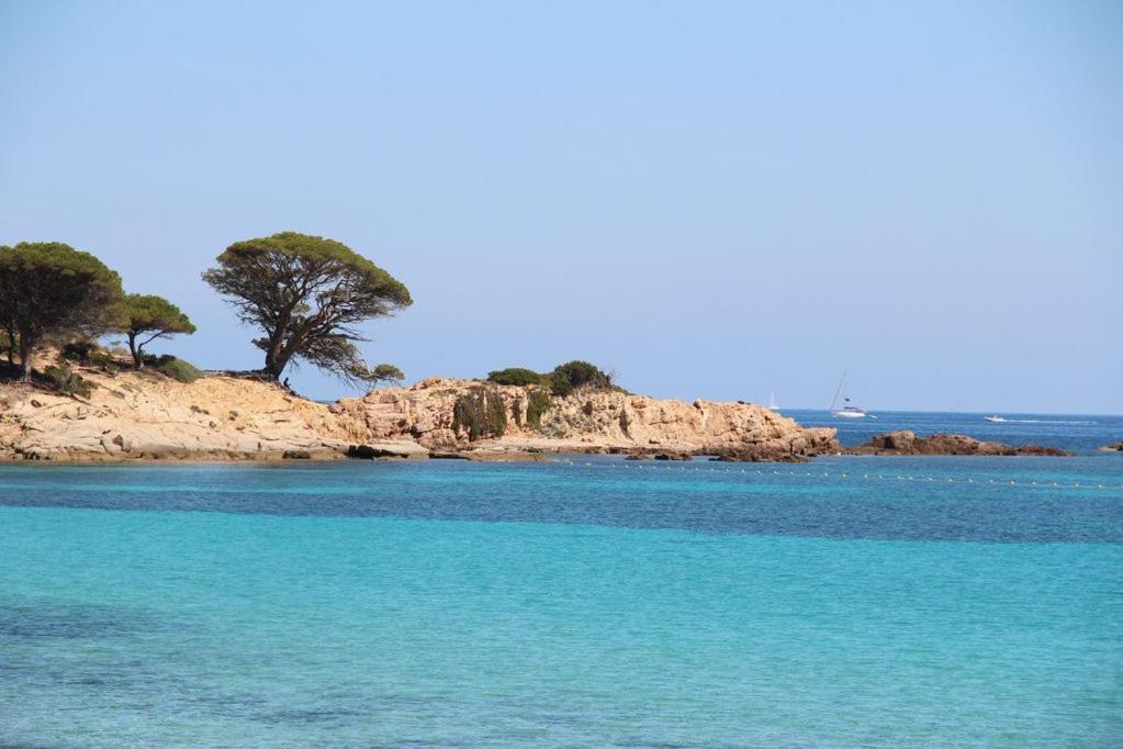 Villa Largia Porto Vecchio - A 5 Min Des Plages De Palombaggia - Calme- Climatisation 外观 照片